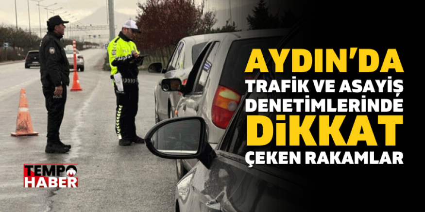 56 Tutuklama, 17 Hırsızlık Olayı Aydınlatıldı