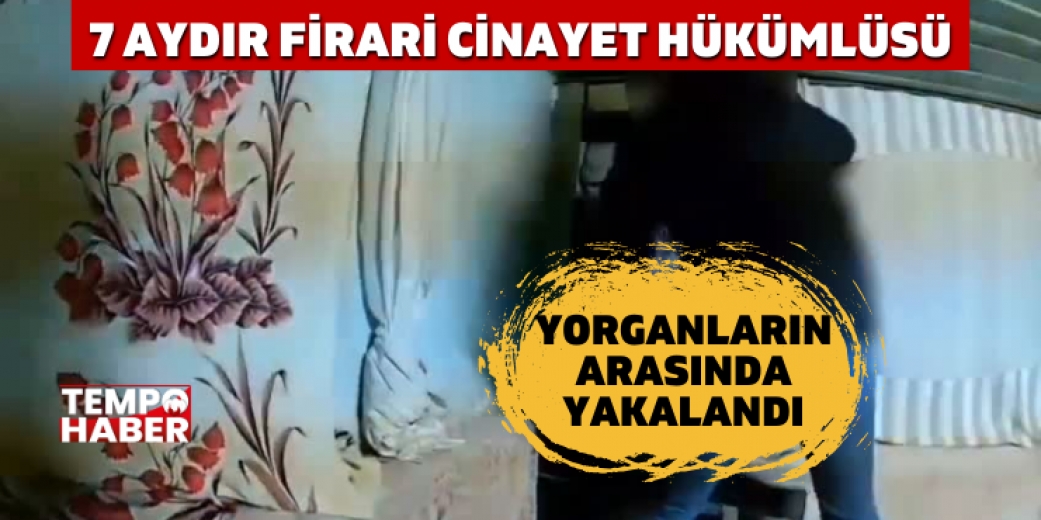 Aydın’da Firari Operasyonu: Cinayet Hükümlüsü Böyle Saklandı