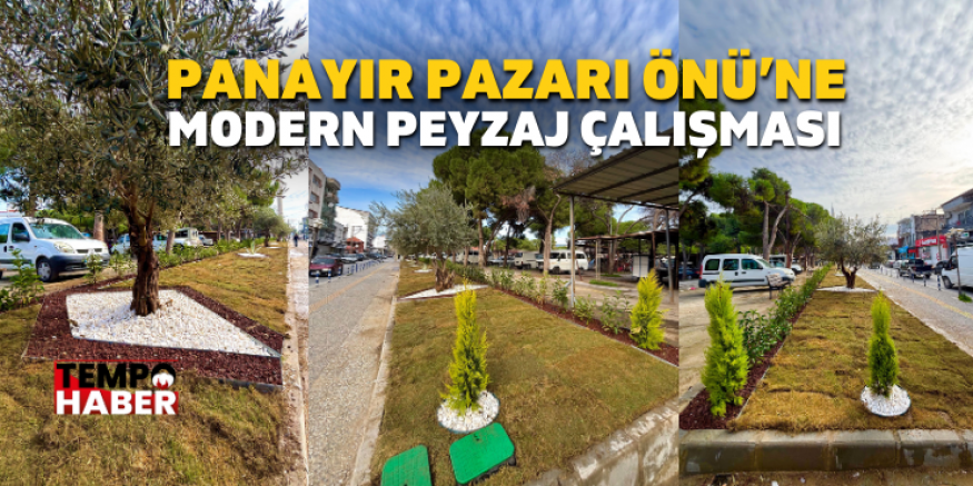 Söke Belediyesi Albayrak Caddesi’nde Peyzaj Düzenlemesi Yaptı