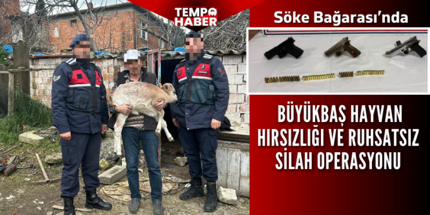 Söke’de büyükbaş hayvan hırsızlığı ve ruhsatsız silah operasyonu
