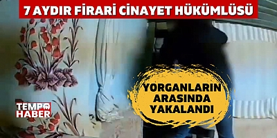 Aydın’da Firari Operasyonu: Cinayet Hükümlüsü Böyle Saklandı