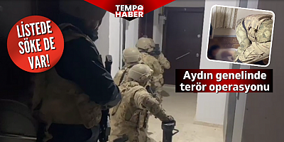 Aydın genelinde terör operasyonu: Söke de listede
