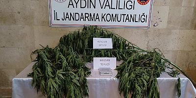 AYDIN İL JANDARMA KOMUTANLIĞI BASIN AÇIKLAMASI YAPTI