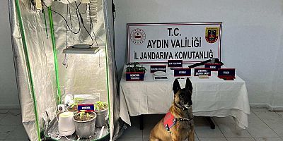 AYDIN İL JANDARMA KOMUTANLIĞI BASIN AÇIKLAMASI YAPTI