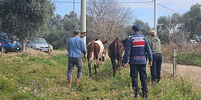 AYDIN İL JANDARMA KOMUTANLIĞI BASIN AÇIKLAMASI YAPTI