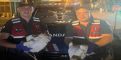 AYDIN İL JANDARMA KOMUTANLIĞI BASIN AÇIKLAMASI YAPTI