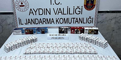 Aydın Jandarma Ekiplerinden Terör Propagandasına Sıkı Darbe