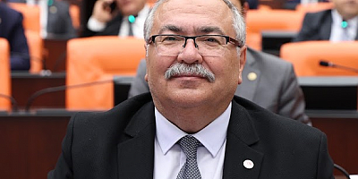 BÜLBÜL, ZEYTİN ÜRETİCİSİNİN SESİNİ MECLİS'E TAŞIDI: 