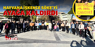 CHP Gençlik Kolları ve Hayvanseverler Adalet Çağrısı Yaptı