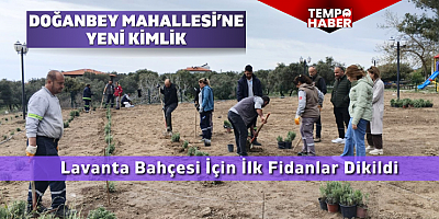 Doğanbey'de Lavanta Bahçesi İçin İlk Fidanlar Dikildi