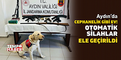 Jandarmadan Nefes Kesen Operasyon: Ruhsatsız Silah Deposu Ortaya Çıktı