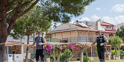 Kuşadası Belediyesi Haşere Kontrolü İçin Çalışmalarını Sürdürüyor