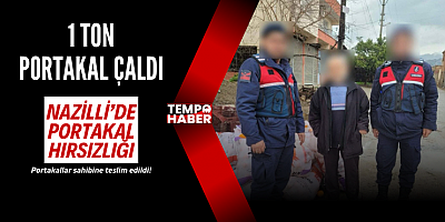 Nazilli'de Gece Bahçeye Girdi, 1 Ton Portakalla Yakalandı