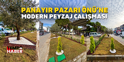 Söke Belediyesi Albayrak Caddesi’nde Peyzaj Düzenlemesi Yaptı