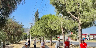 Söke Belediyesi'nden Milas Karayolu paralelinde kapsamlı temizlik 