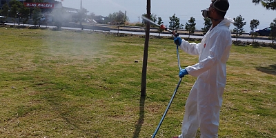 Söke Belediyesi’nden tedbir amaçlı kene ilaçlaması