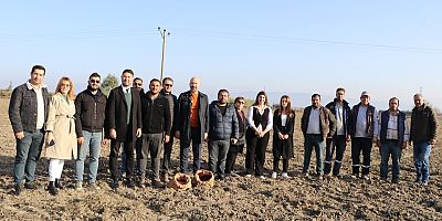 Söke Belediyesi’nin buğday tohumları toprakla buluştu