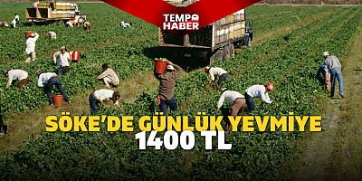 Söke’de 2026 tarım işçisi yevmiyesi açıklandı