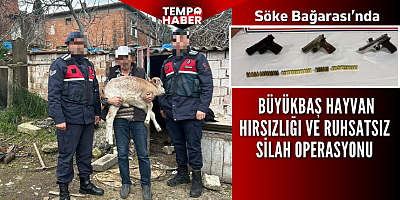 Söke’de büyükbaş hayvan hırsızlığı ve ruhsatsız silah operasyonu
