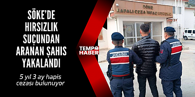 Söke’de Hırsızlık Hükümlüsü Jandarma Operasyonuyla Yakalandı