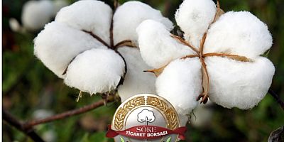 SÖKE PAMUĞU, AVUPA BİRLİĞİ'NDE COĞRAFİ İŞARET ALDI