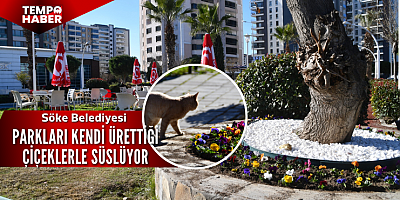 Söke parkları mevsimlik çiçeklerle yenileniyor