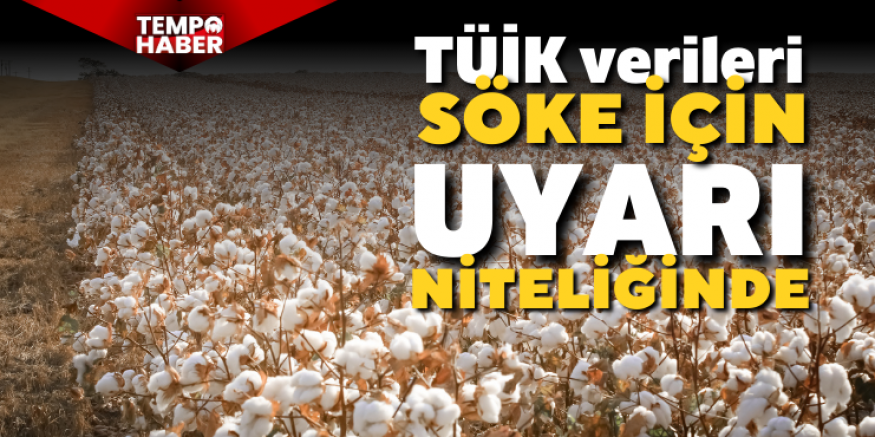 TÜİK verileri Söke için uyarı niteliğinde: Tarım yüzde 8,8 küçüldü